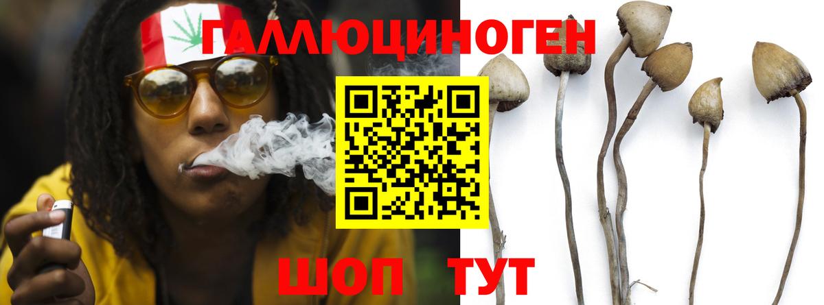 Галлюциногенные грибы GOLDEN TEACHER  Вход с VPN  наркота  Красногорск 